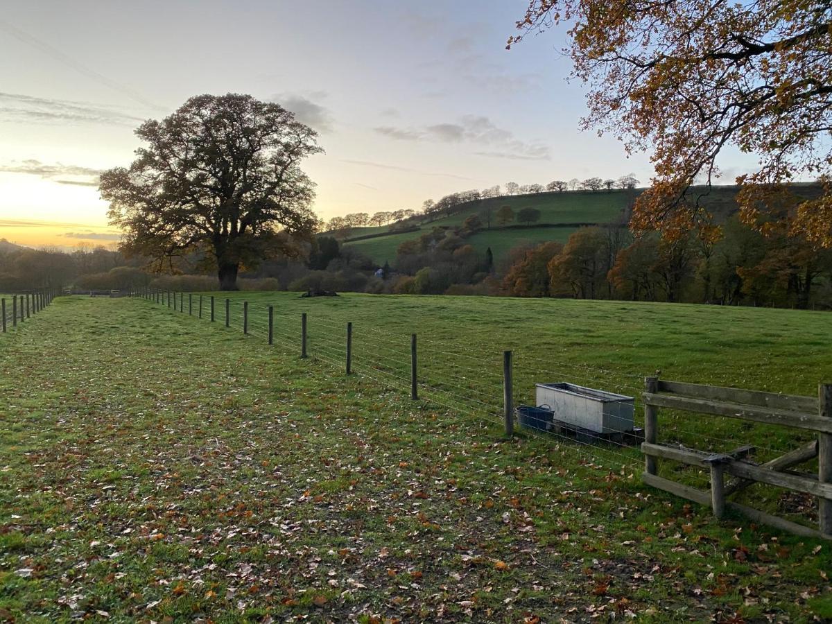 Oakies Farm Stays Llandovery Esterno foto