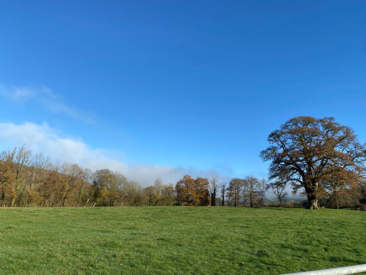 Oakies Farm Stays Llandovery Esterno foto