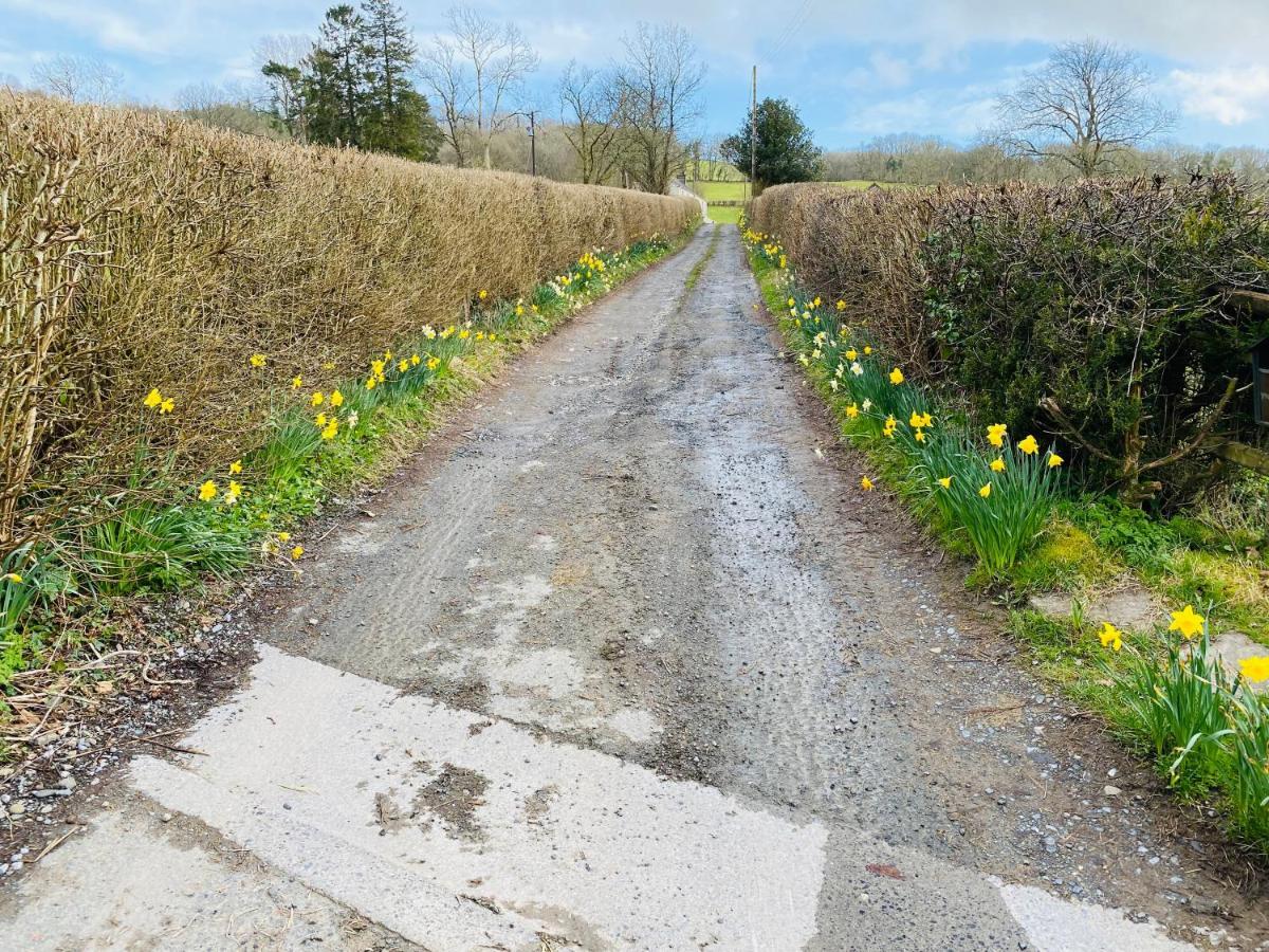 Oakies Farm Stays Llandovery Esterno foto