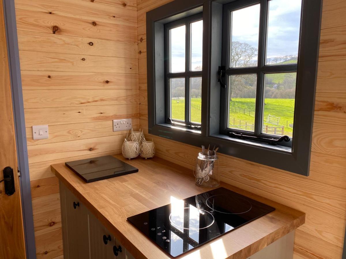 Oakies Farm Stays Llandovery Esterno foto