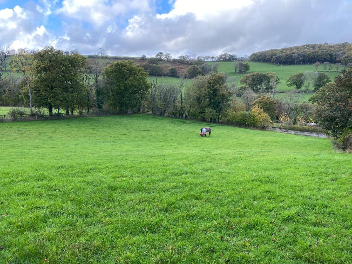 Oakies Farm Stays Llandovery Esterno foto