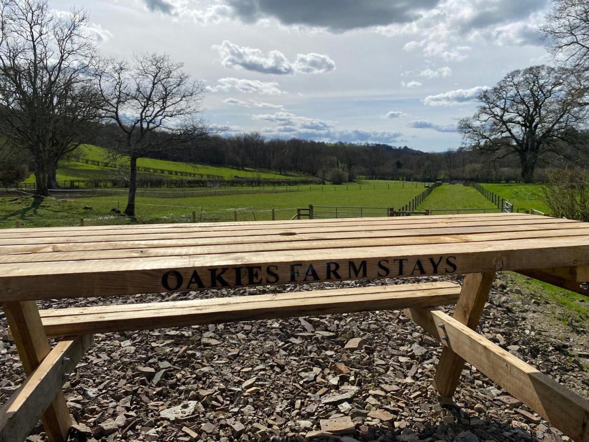 Oakies Farm Stays Llandovery Esterno foto