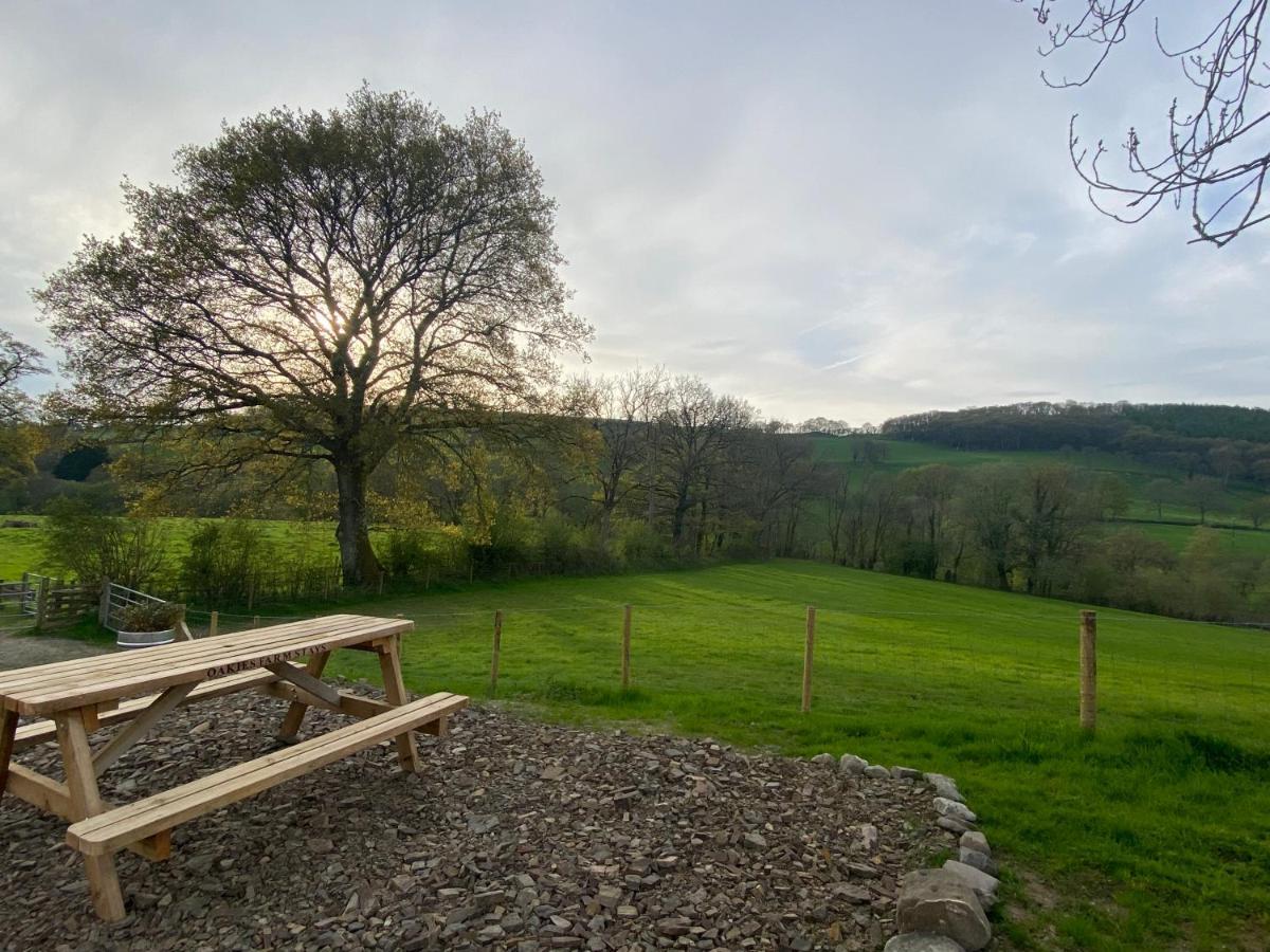 Oakies Farm Stays Llandovery Esterno foto