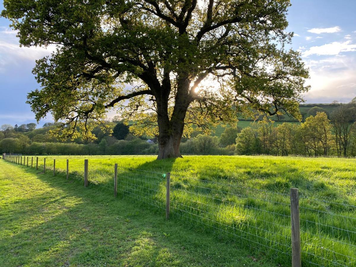 Oakies Farm Stays Llandovery Esterno foto