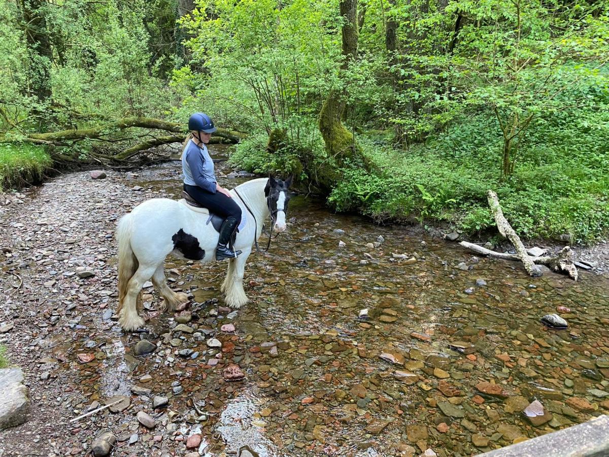 Oakies Farm Stays Llandovery Esterno foto
