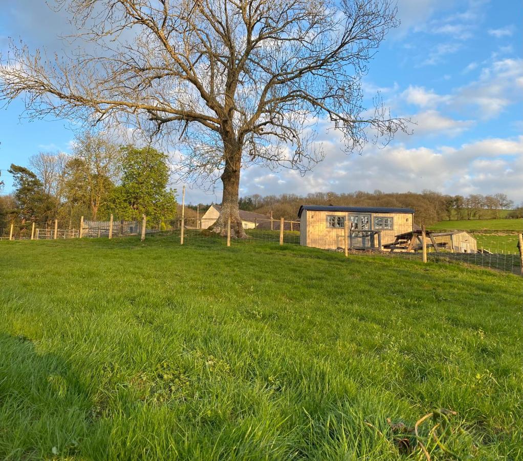 Oakies Farm Stays Llandovery Esterno foto